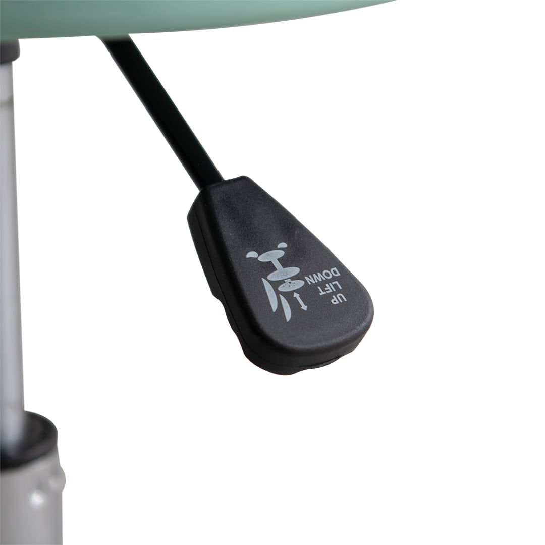 Dulton 升降滾輪椅